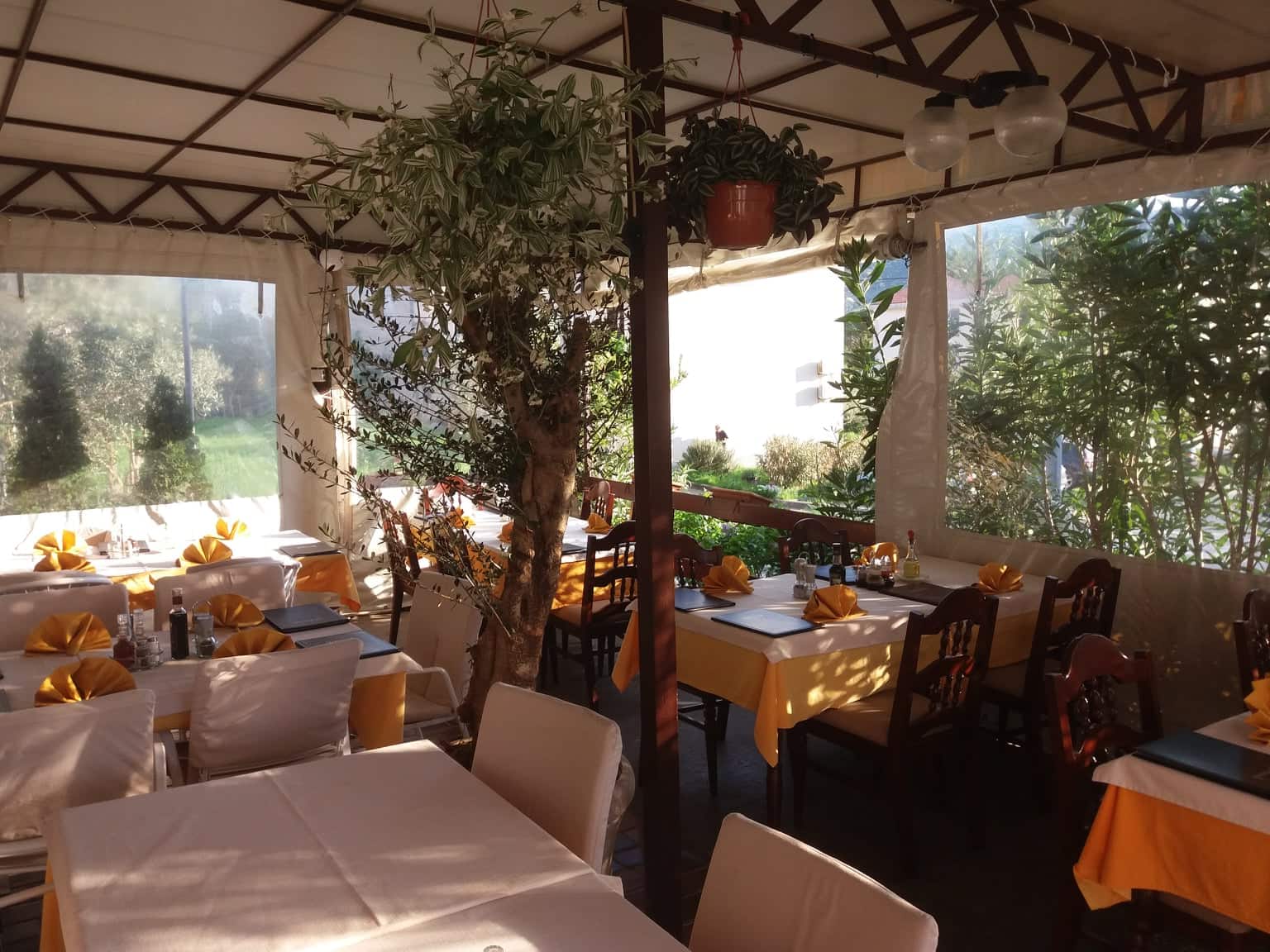 Bistro Pizzeria Maslina, Cres - Gosti, Vino